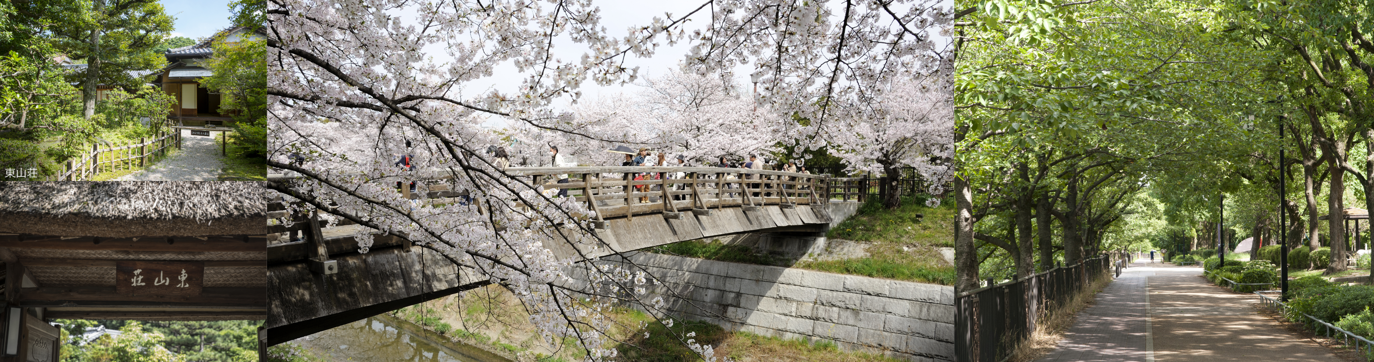 日本さくら名所100選の山崎川をはじめ、四季に寄り添う美しい風景が広がる桜山エリア。瑞穂区ならではの季節を身近に感じる心地よい暮らしがここにあります。