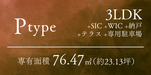 P type